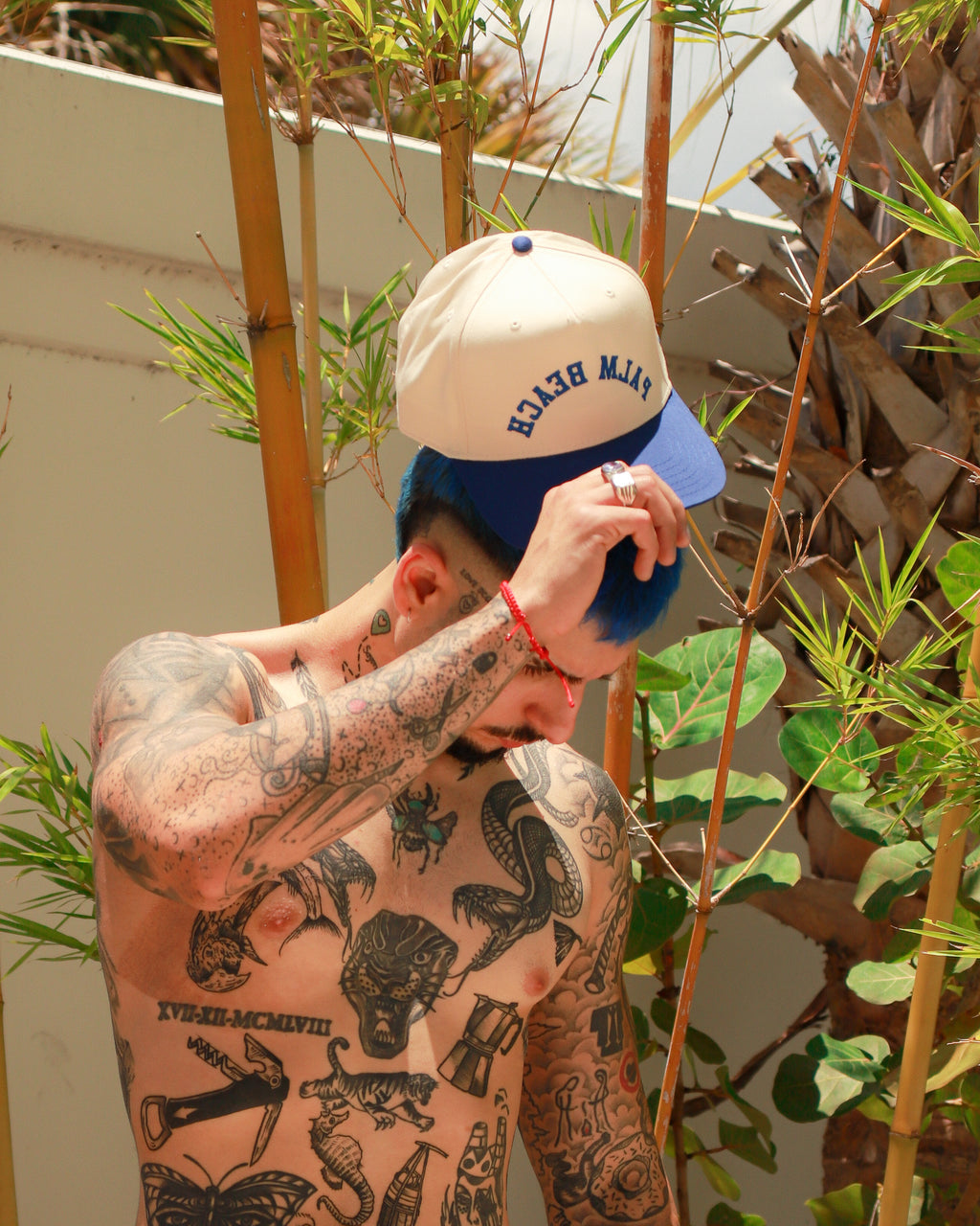 The 561 - Natural Royal